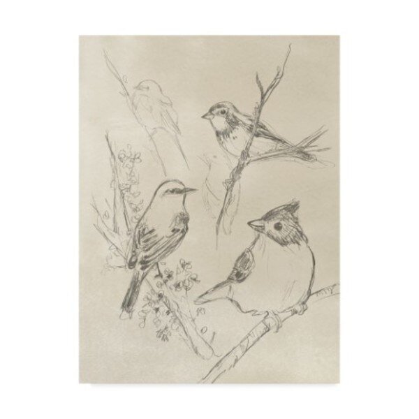 June Erica Vess 'Vintage Songbird Sketch I' Canvas Art, 14x19, Trademark Fine Art, Mfr#: WAG09538-C1419GG